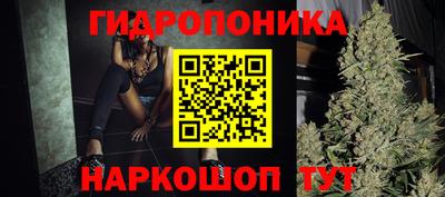 Альфа ПВП Будённовск