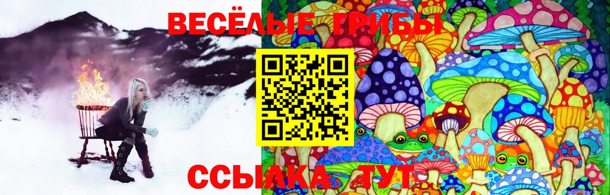 Галлюциногенные грибы GOLDEN TEACHER  Вход с VPN  Морозовск 