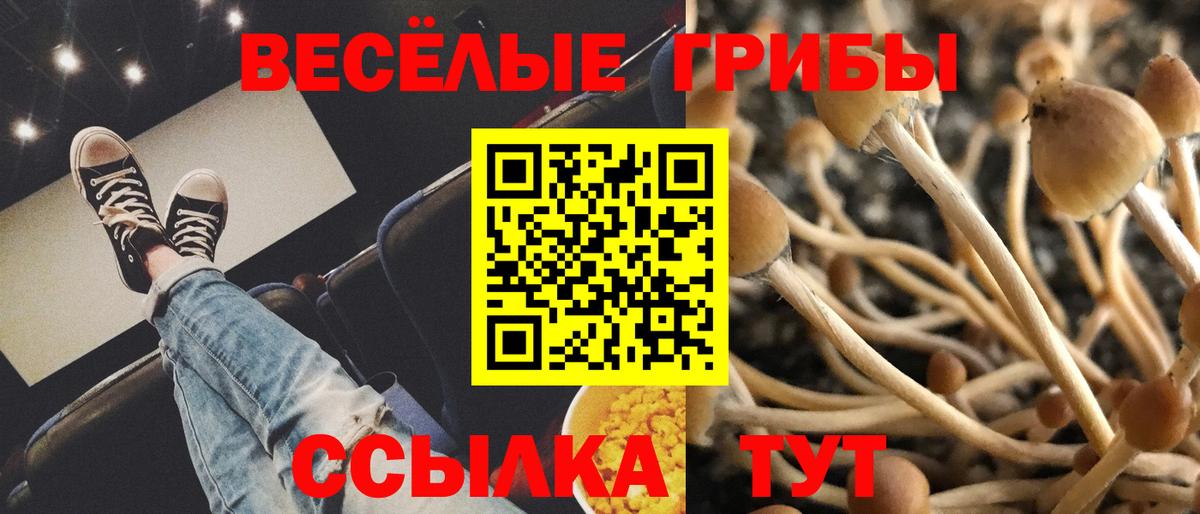 Псилоцибиновые грибы ЛСД Морозовск